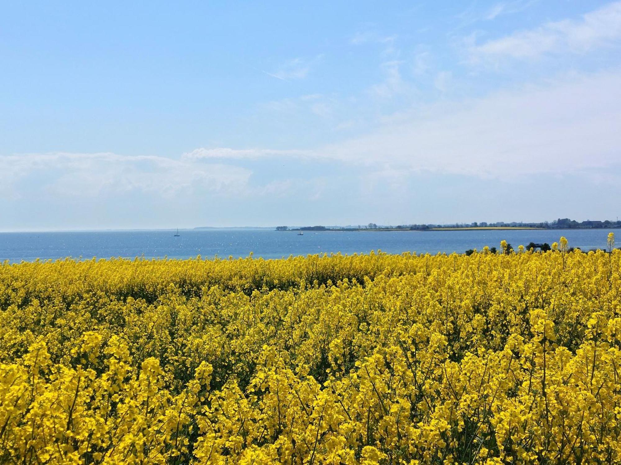 Mina Apartment Fehmarn Bagian luar foto